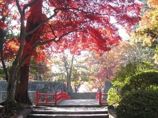 2018102902.jpg